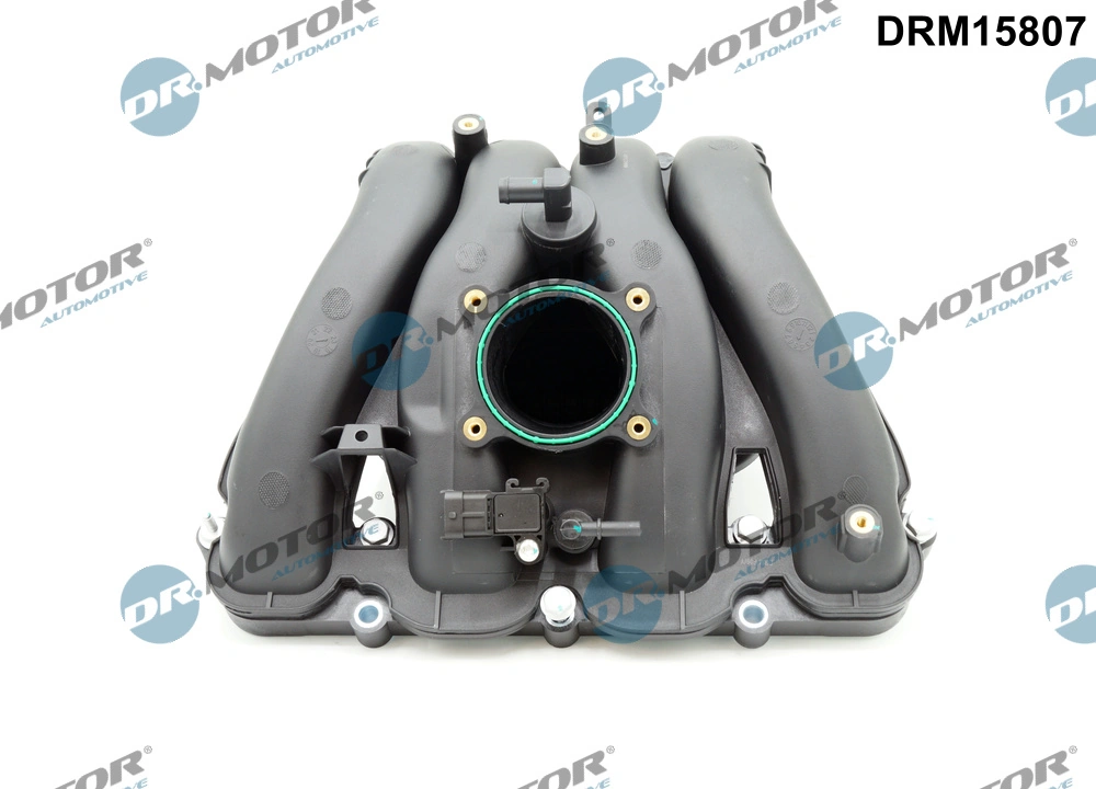 Intake Manifold Module